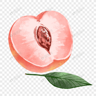 91下载链接APPAPP应用