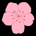 淑女圈下载官方版APP应用